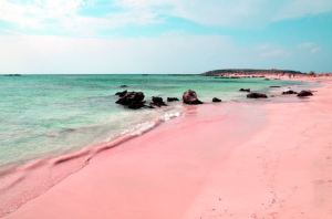 Pink sand beach in Bermuda