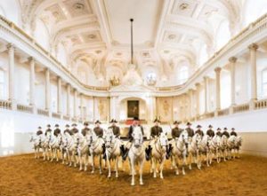The Spanish riding school at the Hofburg palace...Lippizaner stallions